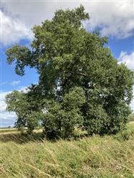 Image of property