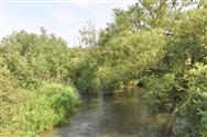 Image of property