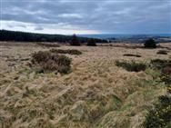 Image of property