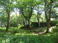 Image of property