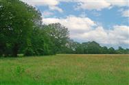 Image of property