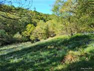 Image of property