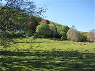 Image of property