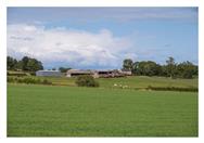 Image of property