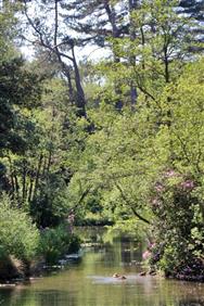Image of property