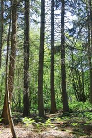 Image of property