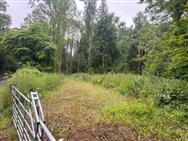 Image of property