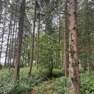 Image of property