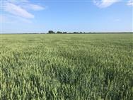 Image of property