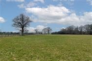 Image of property