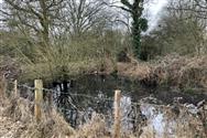 Image of property