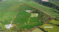 Image of property