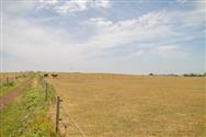 Image of property