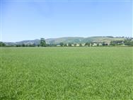 Image of property