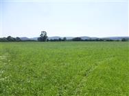 Image of property