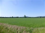 Image of property