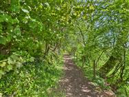 Image of property