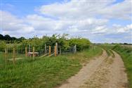 Image of property