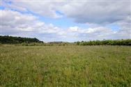 Image of property