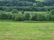 Image of property