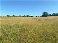 Image of property