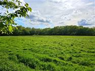 Image of property