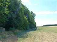 Image of property