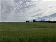 Image of property