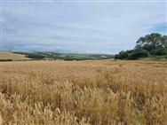 Image of property