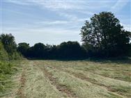 Image of property