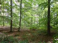 Image of property