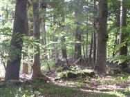 Image of property