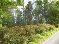 Image of property