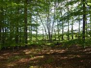 Image of property