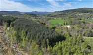 Image of property