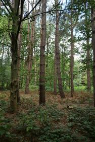 Image of property