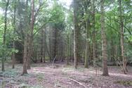 Image of property