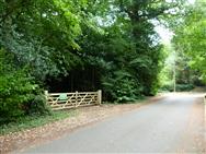 Image of property