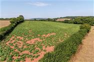 Image of property