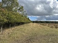 Image of property