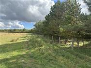 Image of property