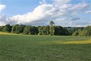 Image of property
