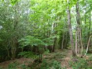 Image of property