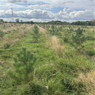 Image of property