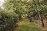 Image of property