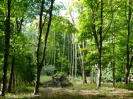 Image of property