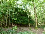 Image of property