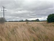 Click to view more details