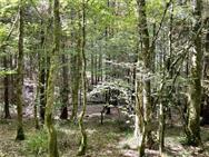 Image of property