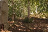 Image of property